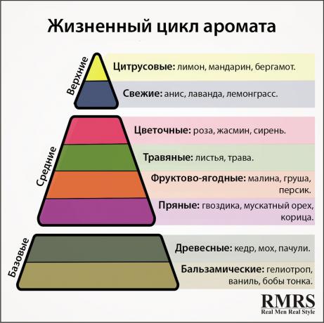 Parfüm-piramis-2 (1)