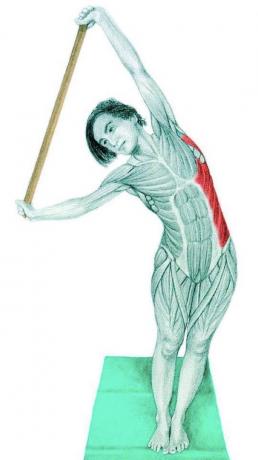 Anatomy of stretching: lengőkeret