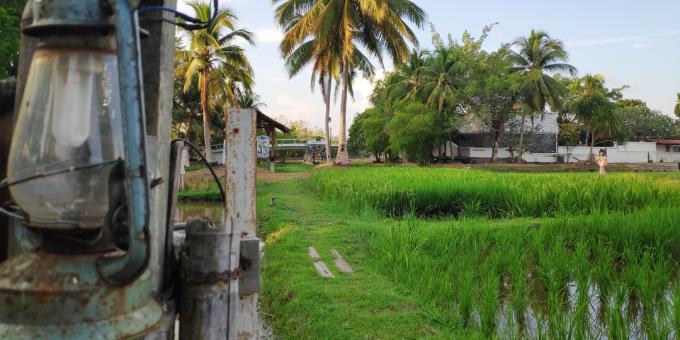 Langkawi nevezetességei: Laman Padi Rice Kulturális Múzeum